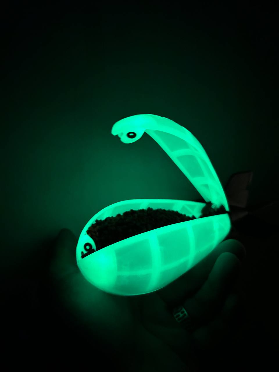 Spyder Spod – UK Exclusive Carp Fishing Accessory