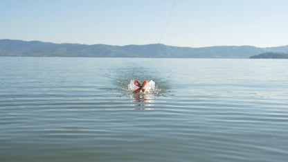 Spyder Spod – UK Exclusive Carp Fishing Accessory